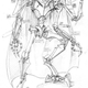 Illustration for article titled Clone Wars concept art